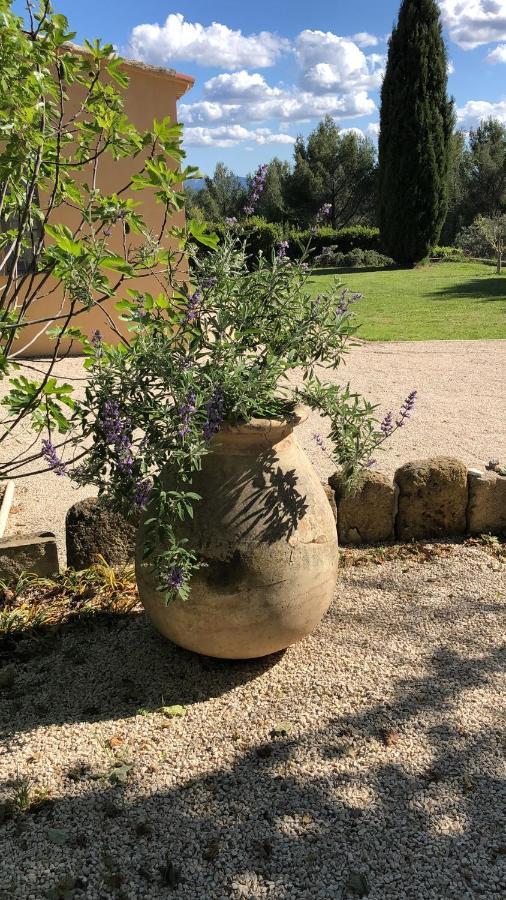 Le Mas Des Pignes -Adults Only Aix-en-Provence Exterior photo